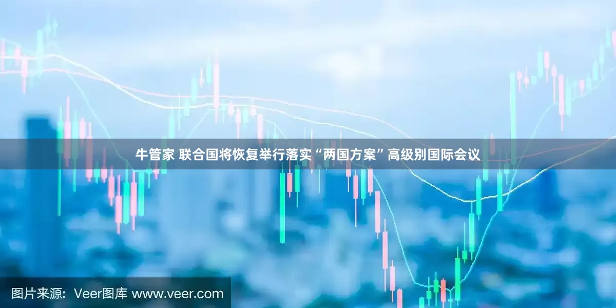 牛管家 联合国将恢复举行落实“两国方案”高级别国际会议