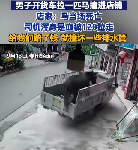拉马货车撞进店铺马当场死亡 店主回应